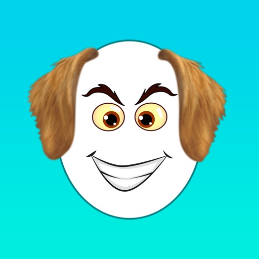 Fun Face - Photo Filters & Editor for Snap icon