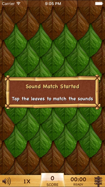 Safari Sound Match