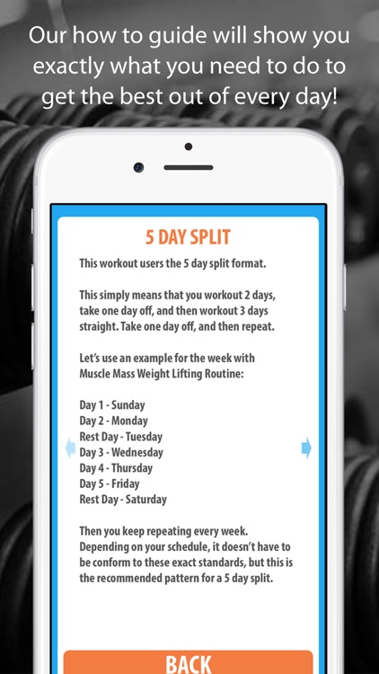 Muscle Mass Weight Lifting Routine screenshot-4