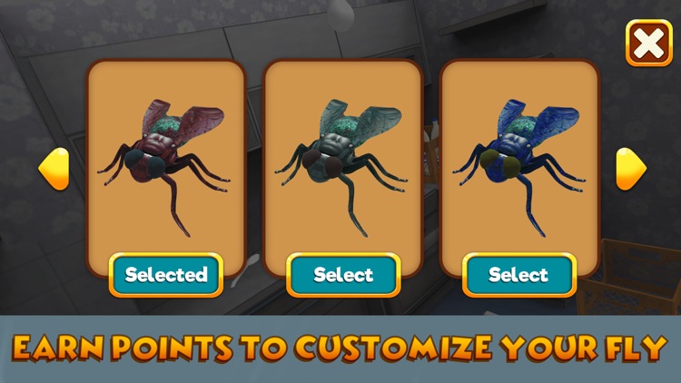 House Fly Insect Survival Simulator