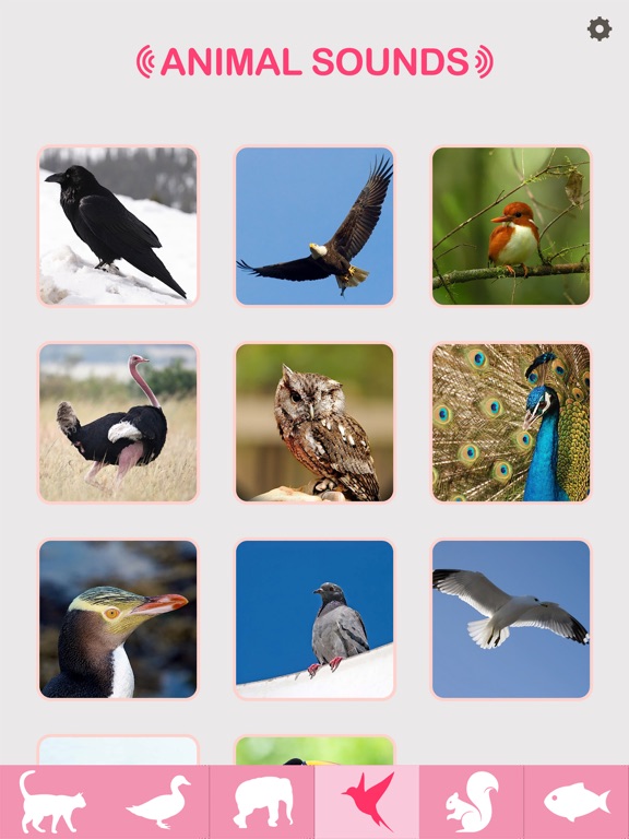 Animal Sounds - Baby & Toddler Game iPad screenshot 5 - Education app