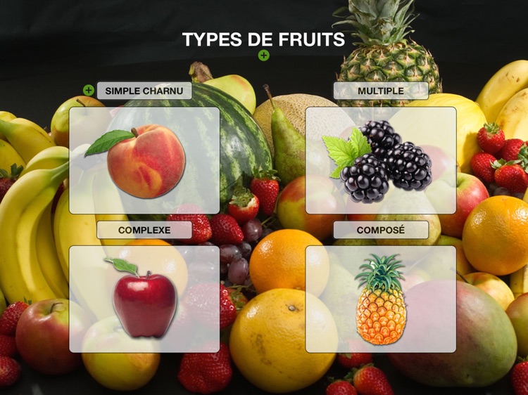 Les types de fruits