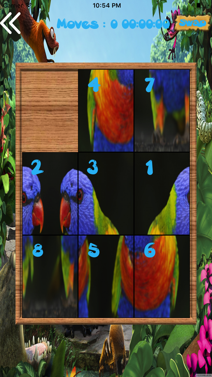 Amazing Birds Puzzles