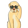 LabMojis - Labrador Retriever Emoji & Stickers - iPhoneアプリ