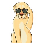 Download LabMojis - Labrador Retriever Emoji & Stickers app