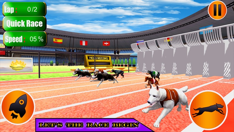 Super Crazy Real Dog Racing Game by Muhammad Imran