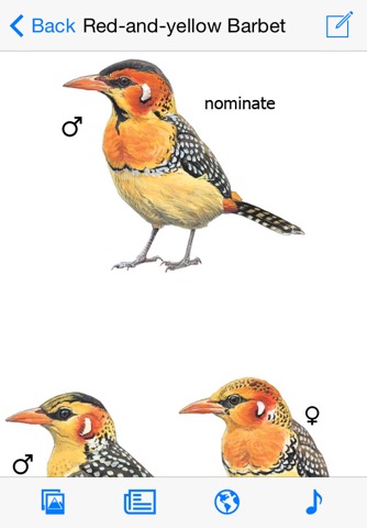 eGuide to Birds of East Africaのおすすめ画像1