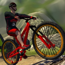 Activities of MTB Downhill : Multiplayer