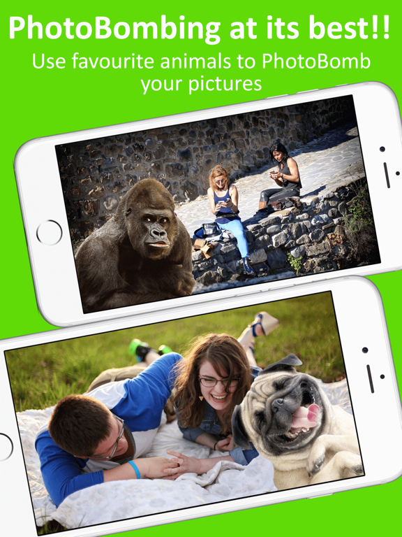 Screenshot #4 pour Stick2Me-Animals Photobomb Fun