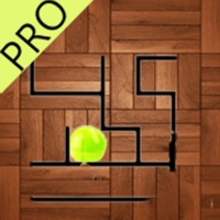 Real Maze Ball Puzzle Challenge