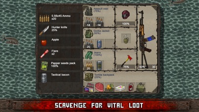 Mini DAYZ: Zombie Survival Screenshot