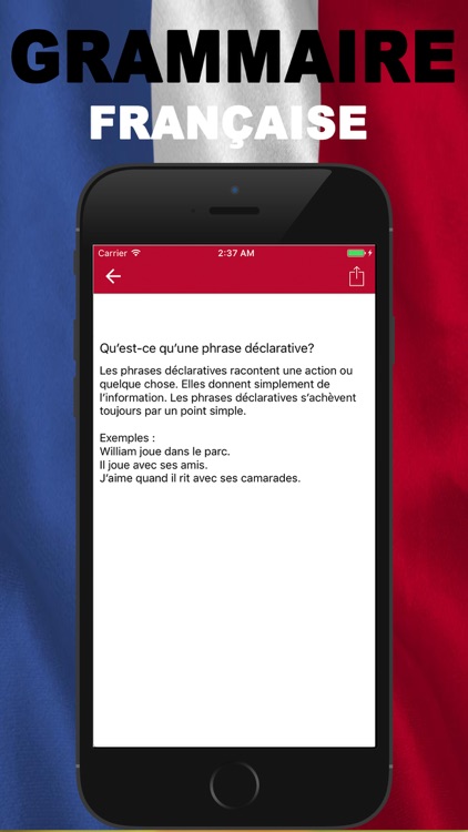 Grammaire Francaise screenshot-3