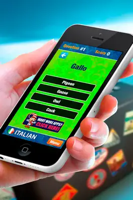 Game screenshot Italian - Learn Quickly and Easily apk
