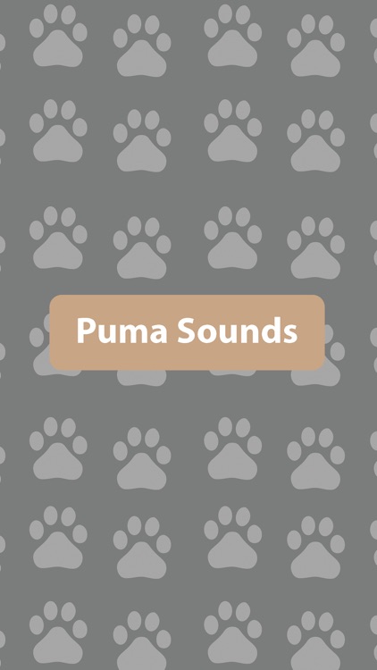 Puma Sounds by Arsosa Network Inc.