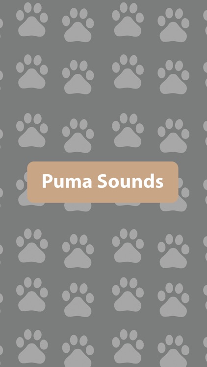Puma Sounds