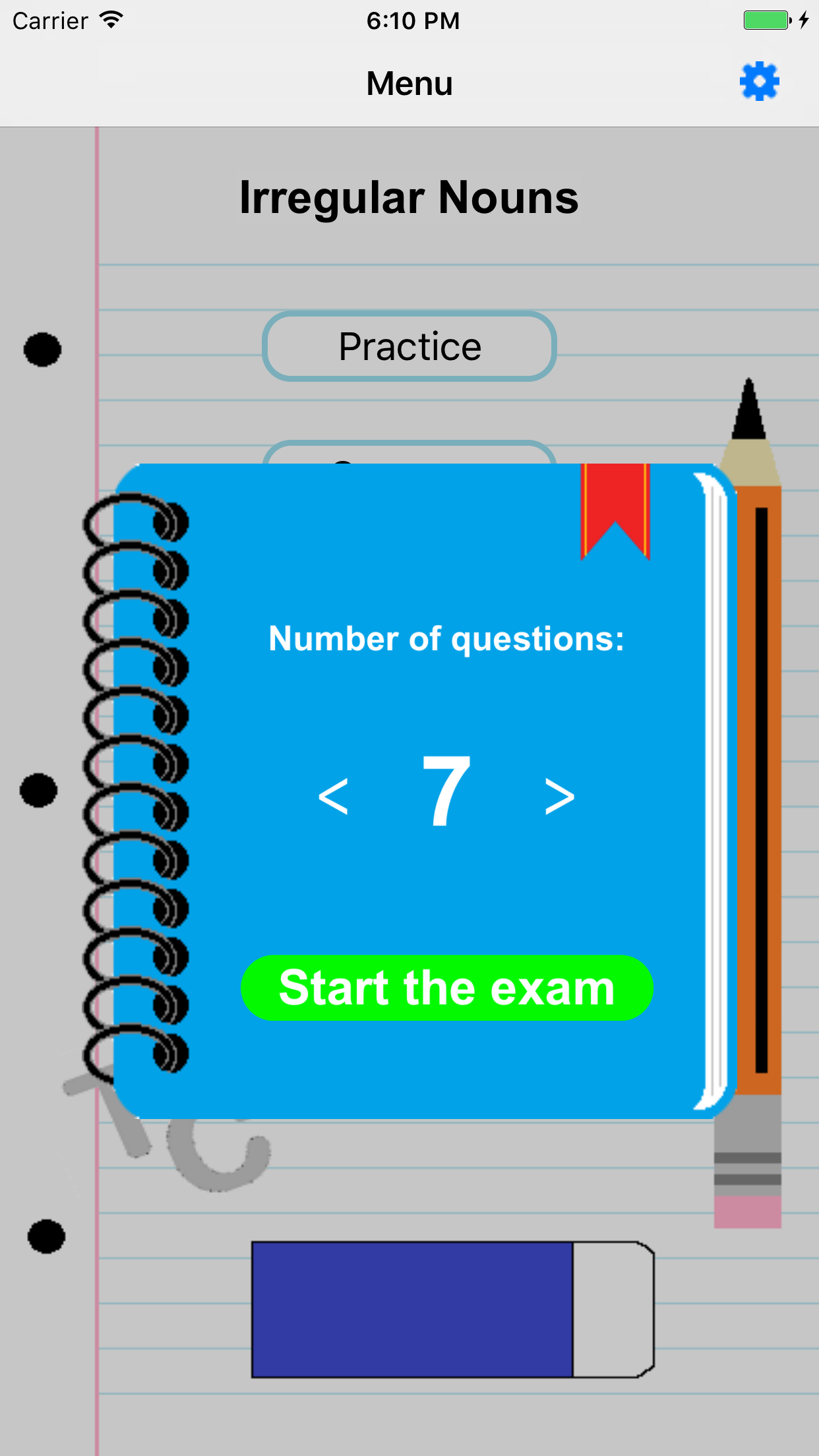 Irregular Nouns screenshot 3