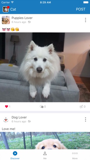 FunPet: The Pet Collective(圖4)-速報App