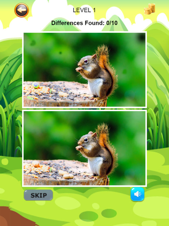 Find and Spot The Differences Photo Zoo Animals