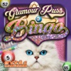 Glamour Puss Bingo Cats