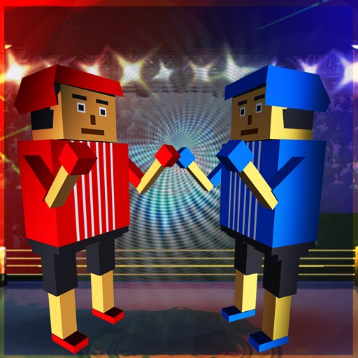 Boxing Fighter 3D Knockout Physics & Pugilism War Icon