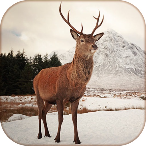Deer Calls & Sounds lite - Hunter Calls Icon