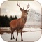 Hunting Calls All in One is one of the smart and accurate tools on the market Specialized tool for Deer Hunters, Run the application and get the attention of All animals, hunters most like to hunt