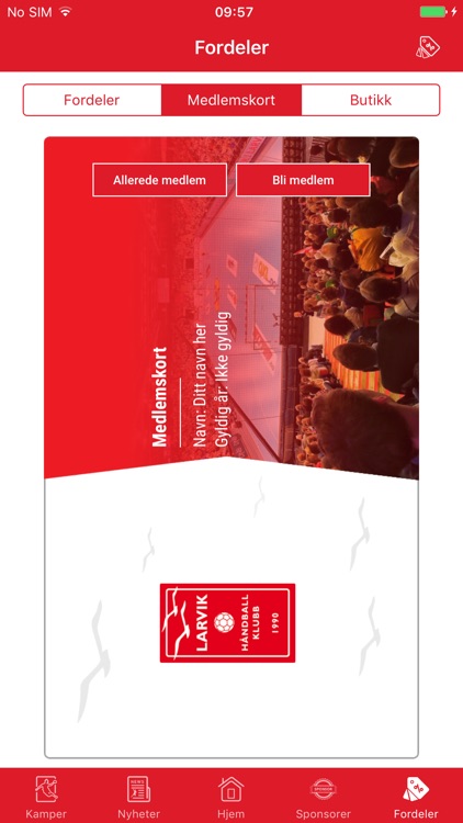 Larvik Håndballklubb screenshot-4