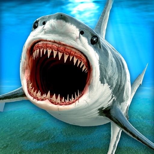 Killer Jaws Evolution: Shark Attack 3D Icon