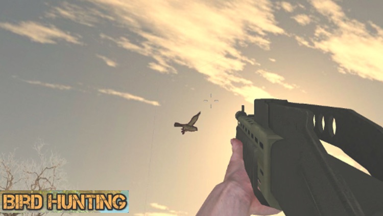 Birds Sniper Shooting