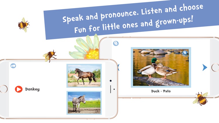 Sami Tiny FlashCards Animals 6 languages kids apps screenshot-4