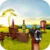 Bottle Shooter 3D - Real shooter