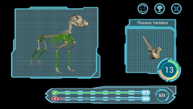 Osteology in Dogs(圖1)-速報App