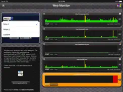 Web Monitor Lite iPad image 3