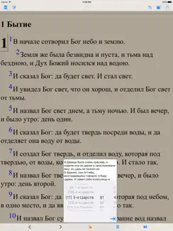 Библия (текст и аудио)(audio)(Russian Bible) iPad image 3