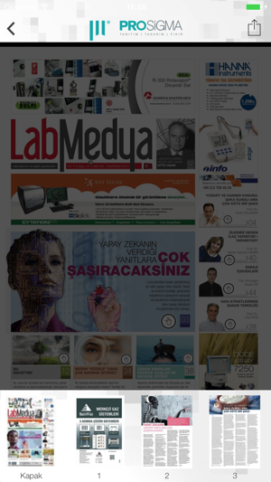 Prosigma Gazetelik(圖2)-速報App