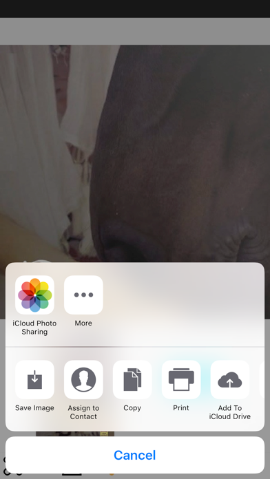 رواية همس الجياد screenshot