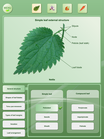 Biology - Plant handbook HD screenshot 3