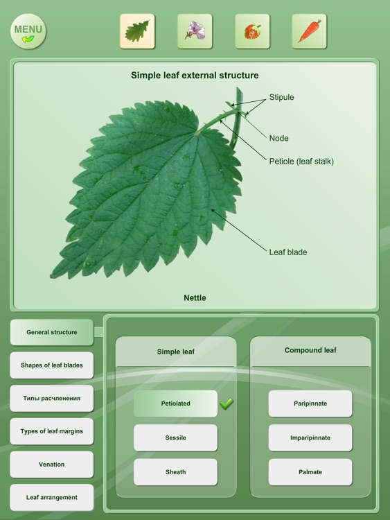 Biology - Plant handbook HD