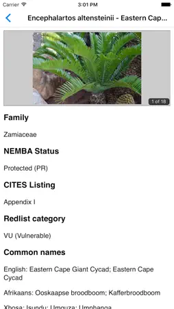 IDentifyIt Cycads screenshot 4