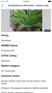 IDentifyIt Cycads screenshot #4 for iPhone