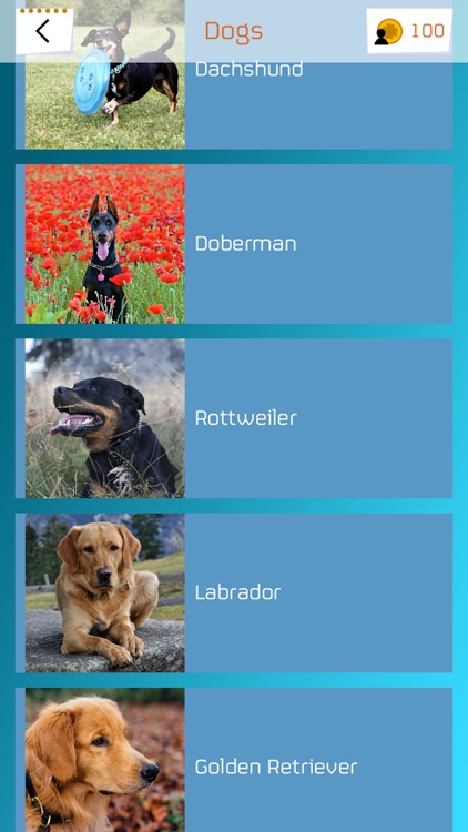 Dogpaw Jigsaw Puzzles - Cute Dogs and Puppies Game