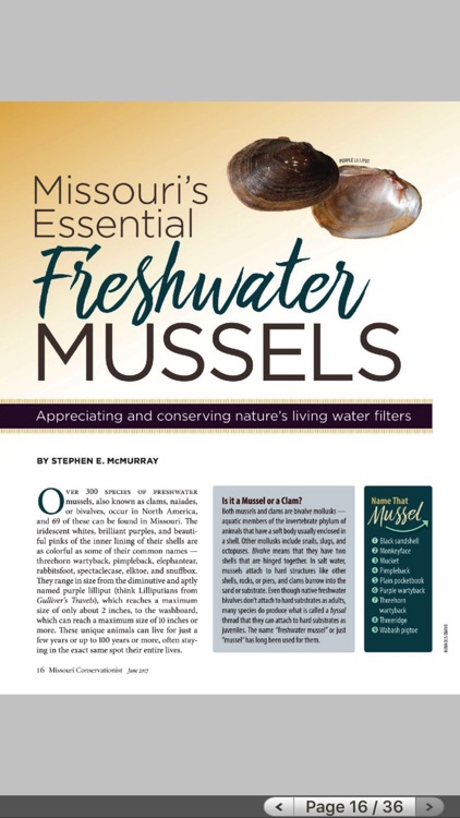 MO Conservationist Magazine screenshot-3