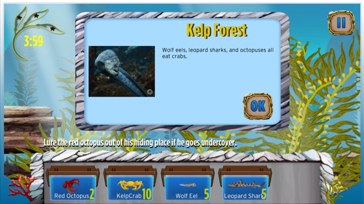 The Kelp Forest: My Aquarium