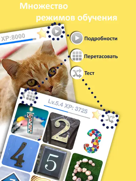Learn Russian Vocabulary Words Baby FlashCards