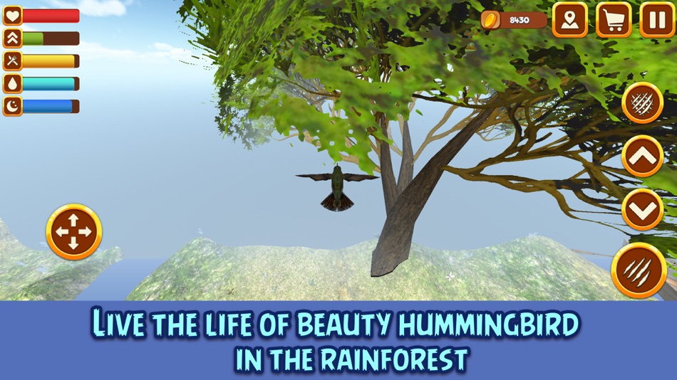 Hummingbird Simulator 3D: Bird Life - 1.0 - (iOS)