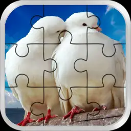Love Bird Jigsaw Puzzle paradise : Train The Brain app icon