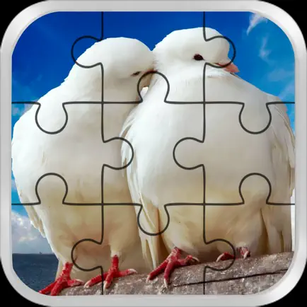 Love Bird Jigsaw Puzzle paradise : Train The Brain Cheats