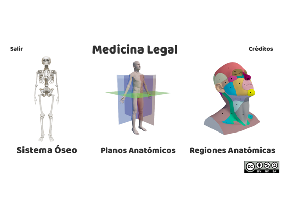 Regiones Anatómicas RA