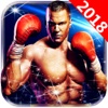 3D Real Boxing Games - King 2018