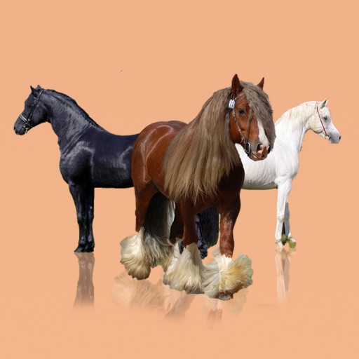 Horse Breeds: A Bible of Horses icon